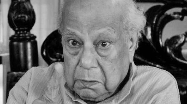 Significant Honors and Contributions