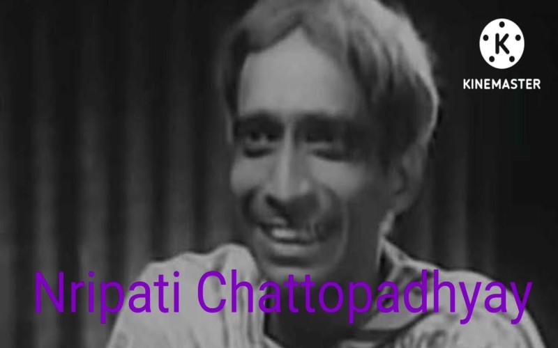 nripati meaning in hindi